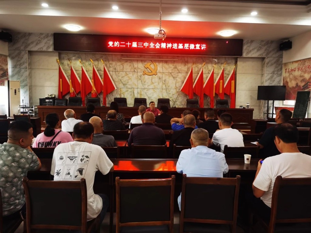 南洲镇召开学习贯彻党的二十届三中全会精神区委宣讲团报告会