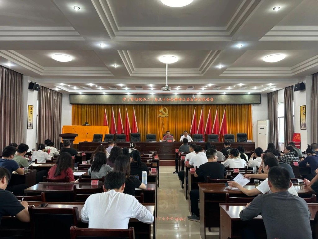 南洲镇召开学习贯彻党的二十届三中全会精神区委宣讲团报告会