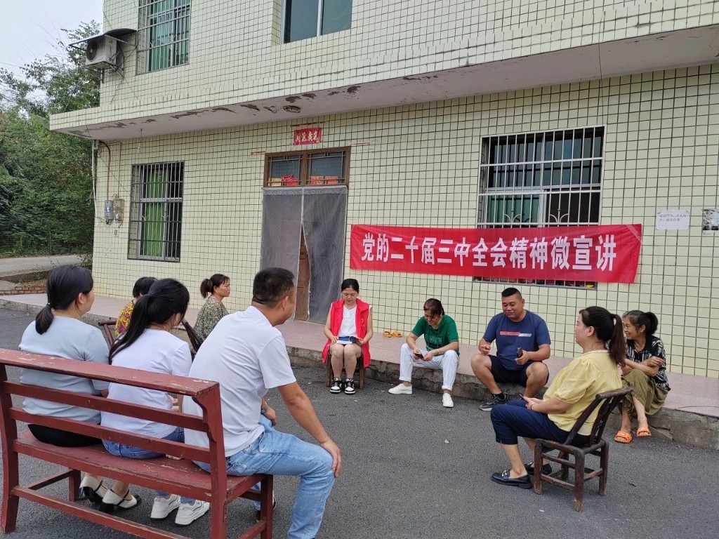 【凝聚思想共识】南洲镇开展党的二十届三中全会精神“小板凳课堂”微宣讲活动