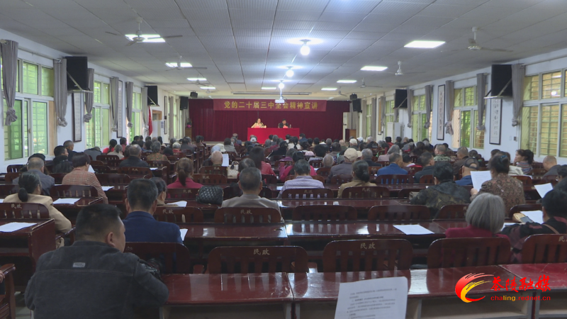 茶陵县老年大学组织学习贯彻党的二十届三中全会精神