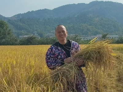 头雁领航，示范种田——醴陵市李畋镇乡村产业振兴带头人培育“头雁”吴远享带动农民科学种田