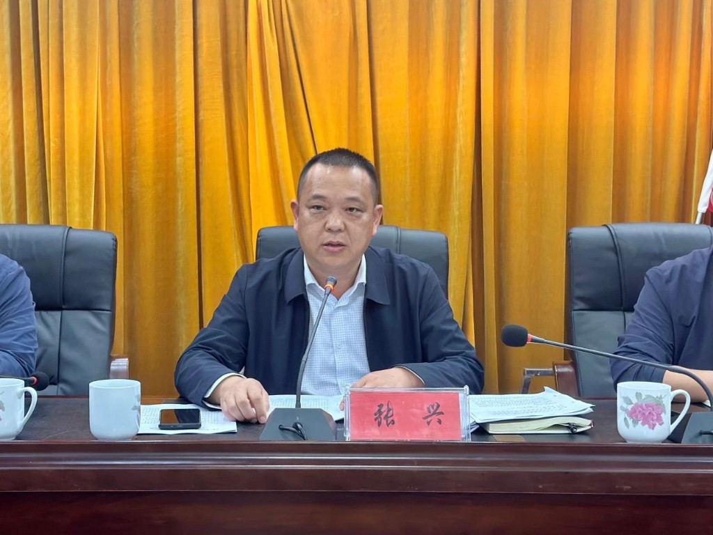 南洲镇传达学习区委二届八次全会精神