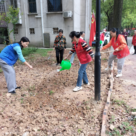 清水塘街道果园社区——种植草籽绿篱，共筑绿色家园