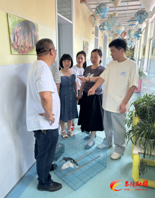 茶陵县林业局救助国家“三有”保护动物池鹭