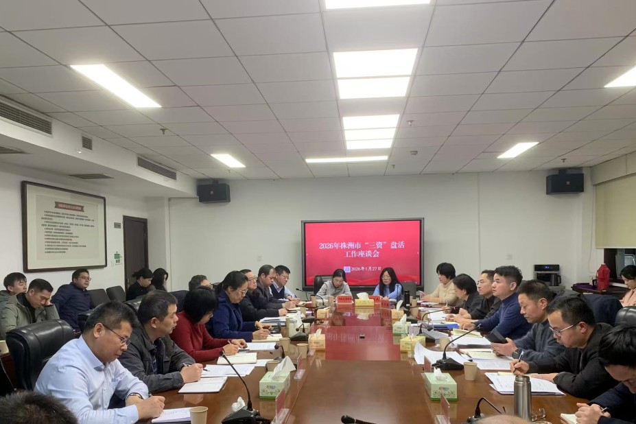 2026年株洲市“三资”盘活工作座谈会召开