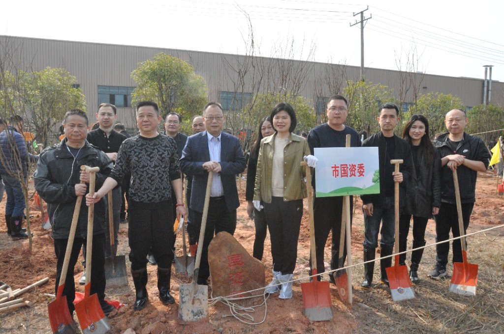 市国资系统开展“三认”义务植树主题党日活动