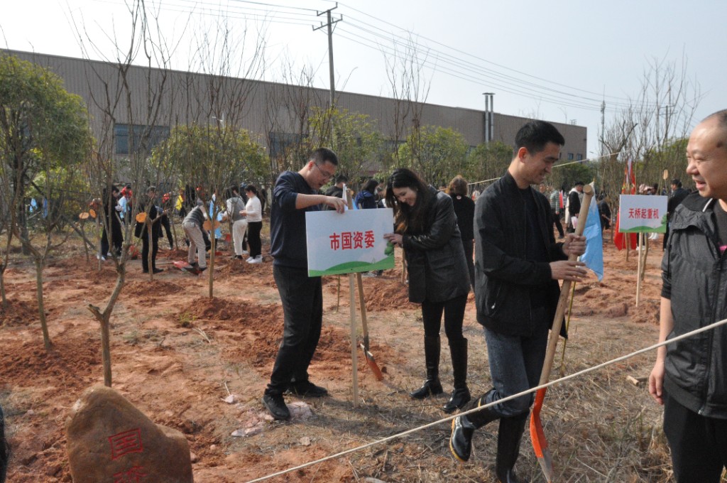 市国资系统开展“三认”义务植树主题党日活动
