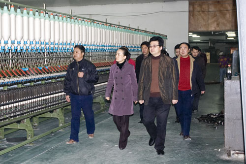 武汉凯迪公司10亿“绿色能源”项目资金落户炎陵