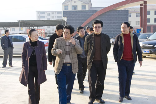 武汉凯迪公司10亿“绿色能源”项目资金落户炎陵