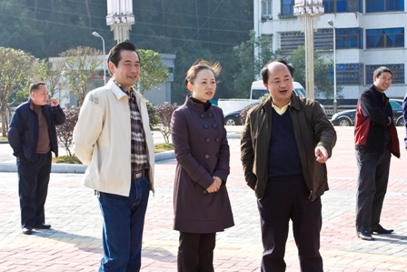 李晖书记视察炎陵县城镇建设（图片新闻）