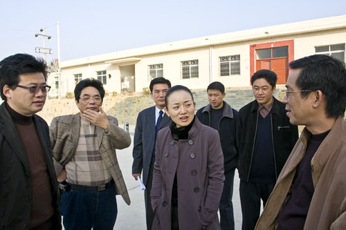 武汉凯迪公司10亿“绿色能源”项目资金落户炎陵