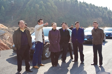 李晖书记视察炎陵县城镇建设（图片新闻）