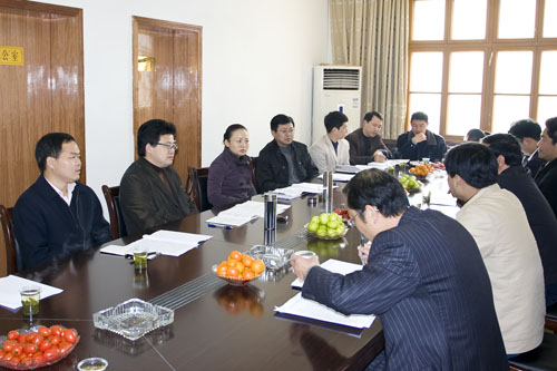 武汉凯迪公司10亿“绿色能源”项目资金落户炎陵