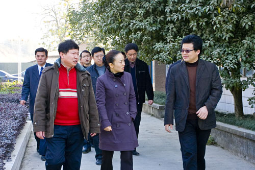 武汉凯迪公司10亿“绿色能源”项目资金落户炎陵