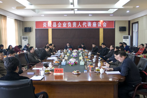 县委、县政府召开企业负责人座谈会