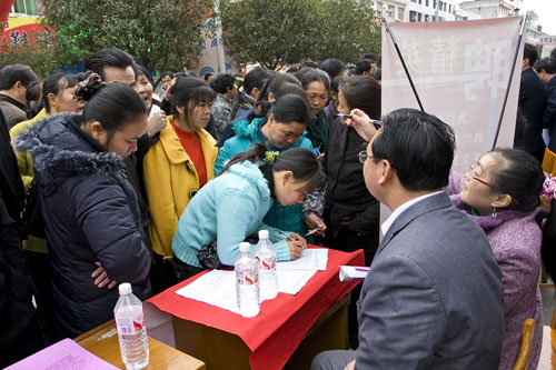 炎陵县成功举办“送政策、送信息、送岗位、送服务”春风行动公益活动