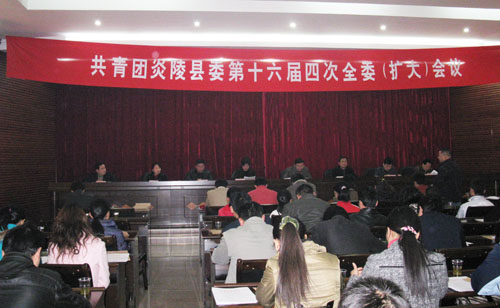共青团炎陵县委召开第十六届四次全委（扩大）会议