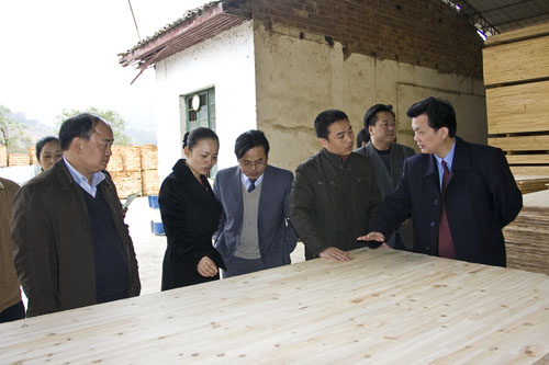 省林业厅邓三龙厅长深入炎陵县指导林业工作