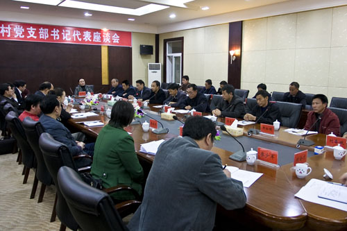 李晖与村官代表座谈：倾听基层百姓呼声 共求农村发展良策