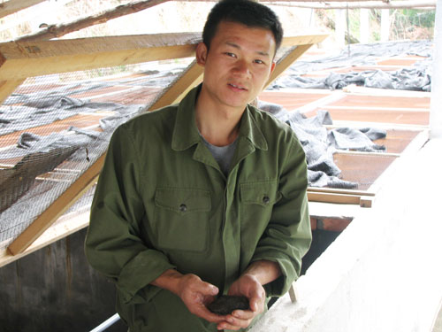 回乡创业闯来“蛙声一片”