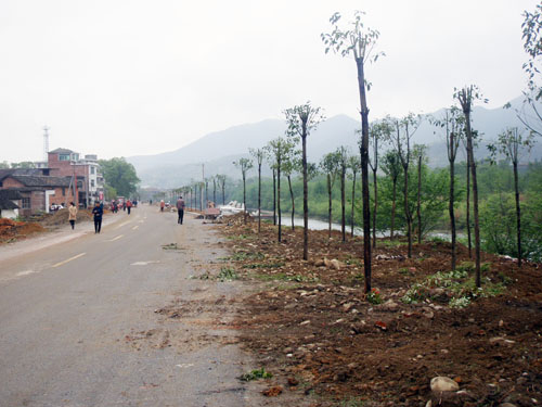 鹿原镇实施绿化建设打响炎帝线“四化”的第二战役