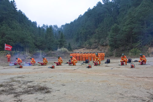 省林业厅邓三龙厅长深入炎陵县指导林业工作