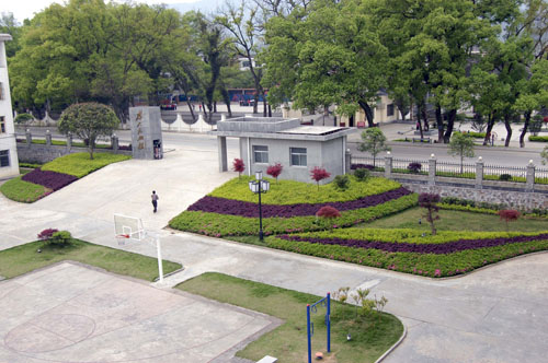 鹿原镇高起点高品位推进绿化建设