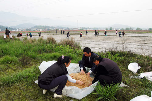 鹿原镇全力以赴抓好春耕备耕工作