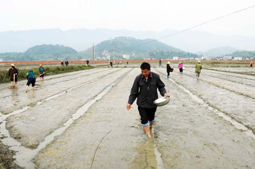 鹿原镇全力以赴抓好春耕备耕工作