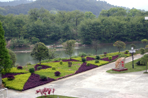 鹿原镇高起点高品位推进绿化建设