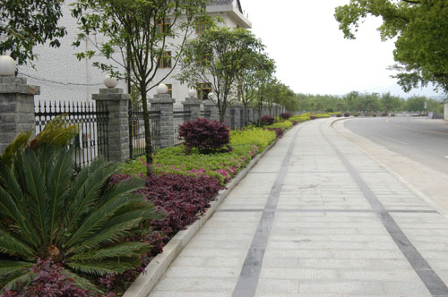 鹿原镇高起点高品位推进绿化建设