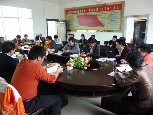 团中央派驻干部兰明尚在三河镇调研团建工作