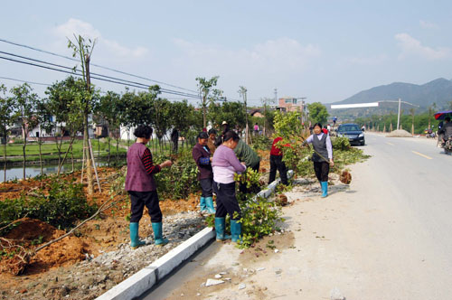 鹿原镇高起点高品位推进绿化建设