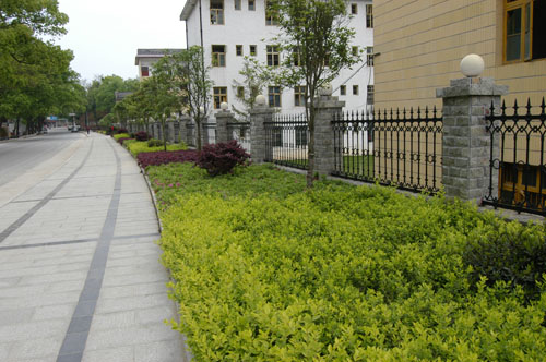 鹿原镇高起点高品位推进绿化建设