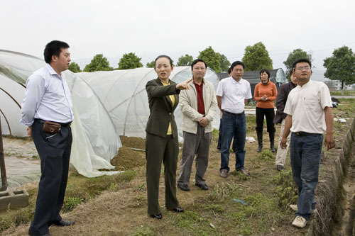 市委副书记、县委书记李晖指导基层党建帮扶工作