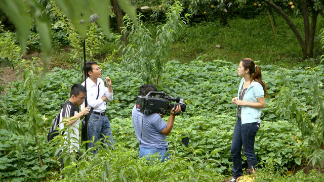 央视七套《每日农经》赴炎摄制高山水果专题节目