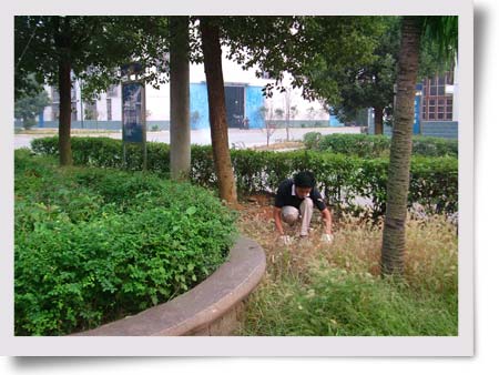 湘东化机公司整齐清洁迎国庆