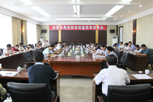 炎陵县召开集体林权制度改革调度会