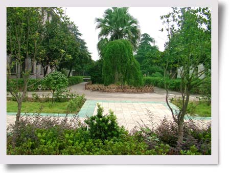 湘东化机公司整齐清洁迎国庆