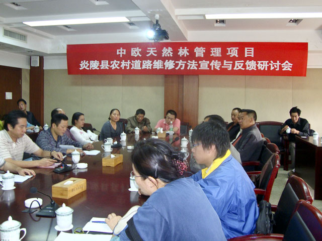 中欧天然林项目研讨会在炎陵县举行