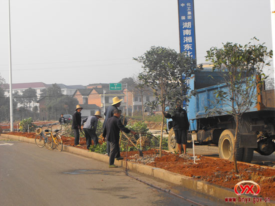 为城区增添绿色植被 　争创全国绿化模范县