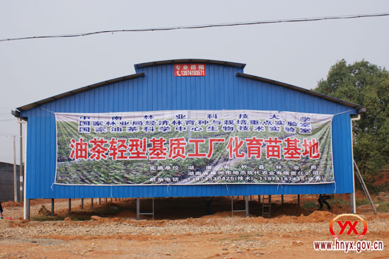 我县冬季农业生产现场如火如荼（图）