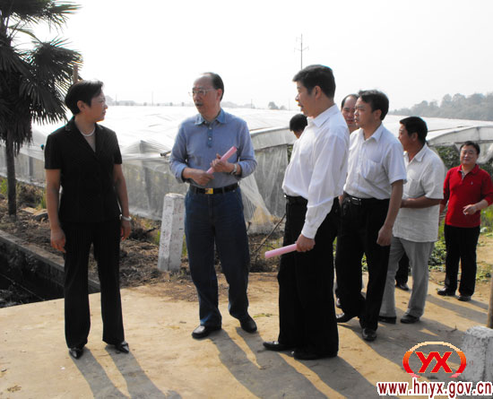 省政协党组成员王汀明一行来攸县考察调研