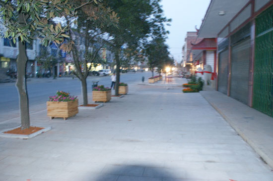 春华秋实逛乡镇（图）