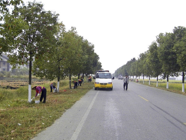 炎陵县公路局确保乙丑年公祭炎帝陵大典道路平安畅通