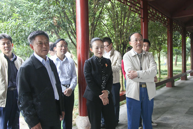 王汀明在我县进行工作调研