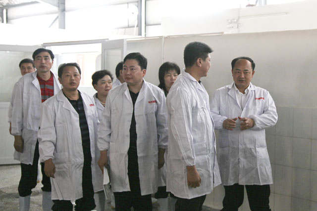 攸县党政考察团到我县考察