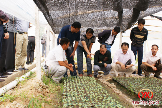 我县冬季农业生产现场如火如荼（图）