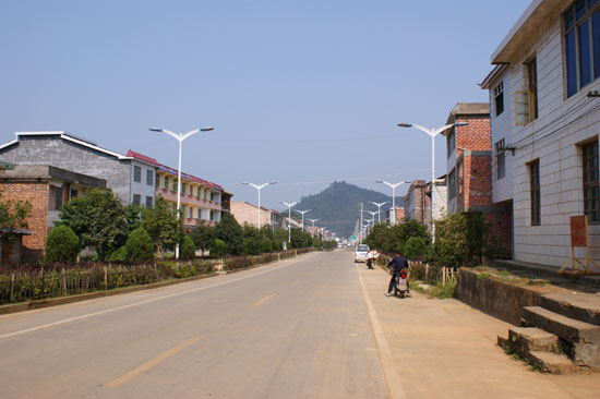 春华秋实逛乡镇（图）