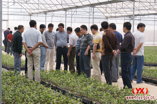 我县冬季农业生产现场如火如荼（图）